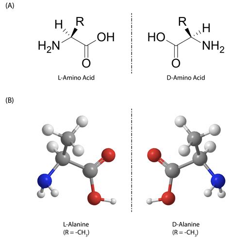which amino acids are chiral